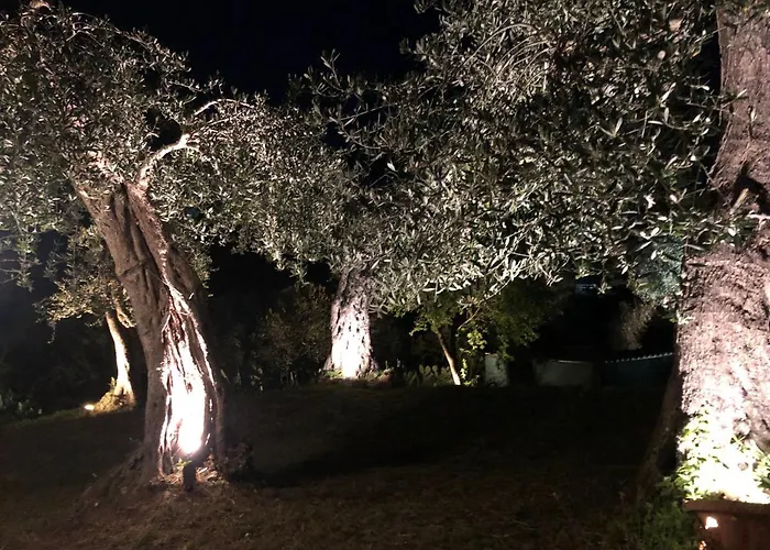 Casa Sofia Hébergement de vacances Dassia (Corfu)