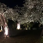 Casa Sofia Feriehus Dassia (Corfu)