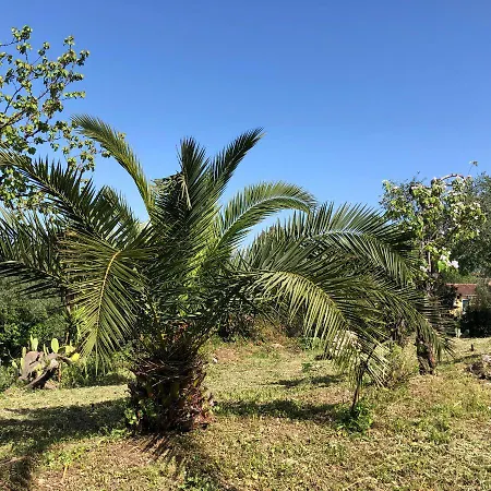 Casa Sofia Vakantiehuis Dassia (Corfu)