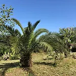 Casa Sofia Vakantiehuis Dassia (Corfu)