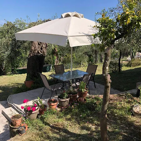 Casa Sofia * Δασιά