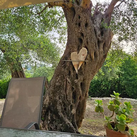 Casa Sofia Prázdninový dům