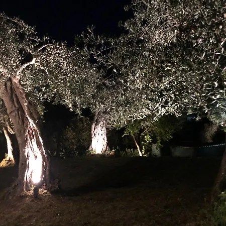 Casa Sofia Hébergement de vacances Dassia (Corfu)